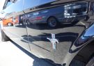 Mustang-DSC02520