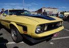 Mustang-DSC02521