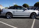 Mustang-DSC02522