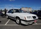 Mustang-DSC02523