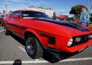 Mustang-DSC02524