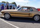 Mustang-DSC02525
