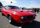 Mustang-DSC02526
