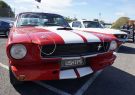 Mustang-DSC02527