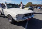 Mustang-DSC02528