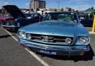 Mustang-DSC02531