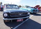 Mustang-DSC02534