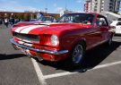 Mustang-DSC02535
