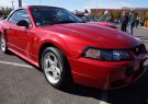 Mustang-DSC02536