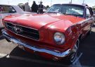 Mustang-DSC02540