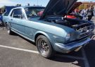Mustang-DSC02541