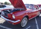 Mustang-DSC02542