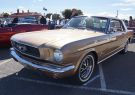Mustang-DSC02545