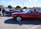 Mustang-DSC02546