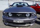 Mustang-DSC02549