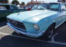 Mustang-DSC02550