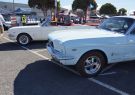 Mustang-DSC02551