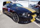 Mustang-DSC02552