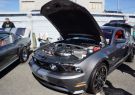 Mustang-DSC02553