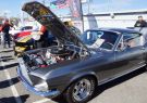 Mustang-DSC02554