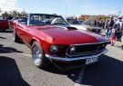 Mustang-DSC02555