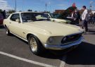 Mustang-DSC02556