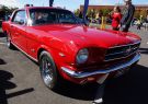 Mustang-DSC02557