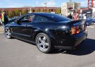 Mustang-DSC02558
