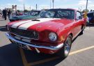 Mustang-DSC02560
