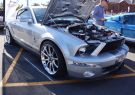 Mustang-DSC02563