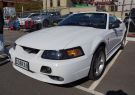 Mustang-DSC02564