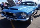 Mustang-DSC02566