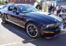 Mustang-DSC02567