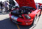 Mustang-DSC02568