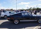 Mustang-DSC02569