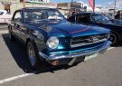 Mustang-DSC02571