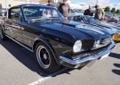 Mustang-DSC02572