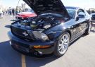 Mustang-DSC02573