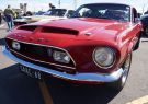 Mustang-DSC02574
