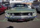 Mustang-DSC02576