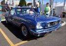Mustang-DSC02579