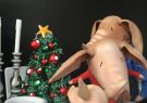 Myer Geelong Christmas Windows