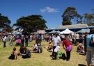 Portarlington Mussel Festival 2014