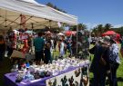 Portarlington Mussel Festival 2014
