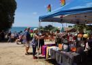 Portarlington Mussel Festival 2014