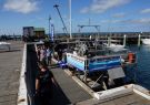 Portarlington Mussel Festival 2014