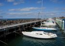 Portarlington Mussel Festival 2014