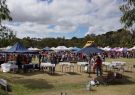2014 Wallington Strawberry Fair