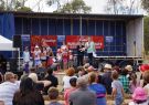 2014 Wallington Strawberry Fair