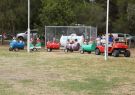 2014 Wallington Strawberry Fair